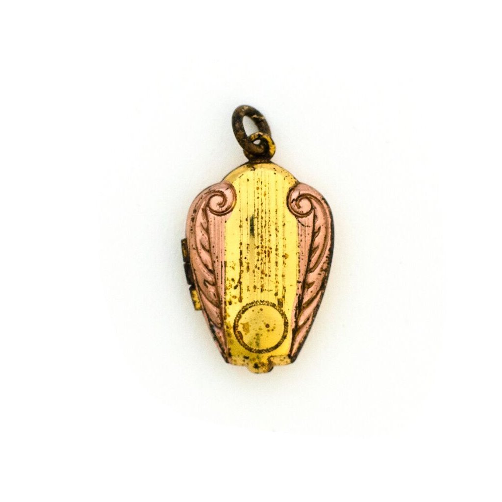 Rose Wing Locket